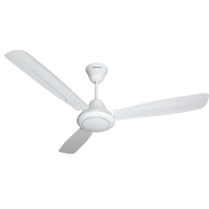 Ceiling Fans